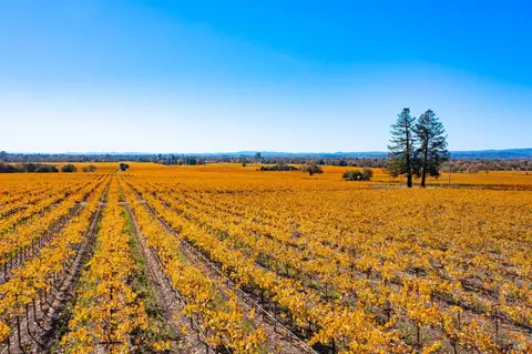 1276 Jensen Ln #LOT 2, Windsor, CA 95492 photo 34