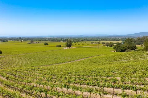 1276 Jensen Ln #LOT 2, Windsor, CA 95492 photo 30