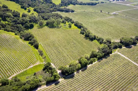 1276 Jensen Ln #LOT 3, Windsor, CA 95492 photo 3