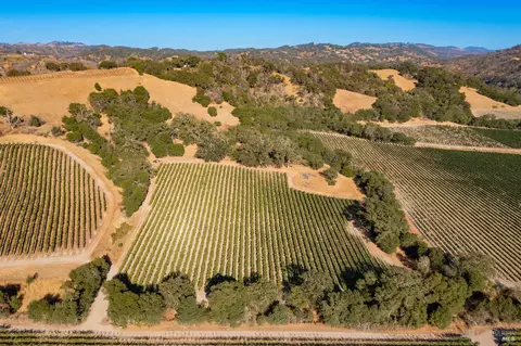 1276 Jensen Ln #LOT 3, Windsor, CA 95492 photo 16