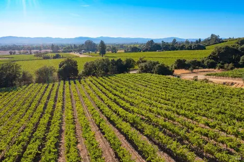 1276 Jensen Ln #LOT 3, Windsor, CA 95492 photo 18