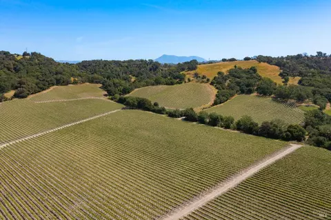 1276 Jensen Ln #LOT 3, Windsor, CA 95492 photo 28