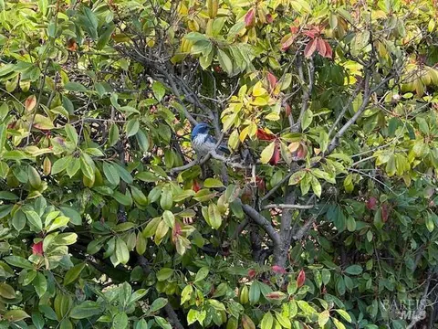 Other - 1238 Center Ave, Martinez, CA 94553 photo 7 of 11