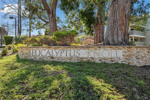 Other - 115 Eucalyptus Knoll St, Mill Valley, CA 94941 photo 8 of 16