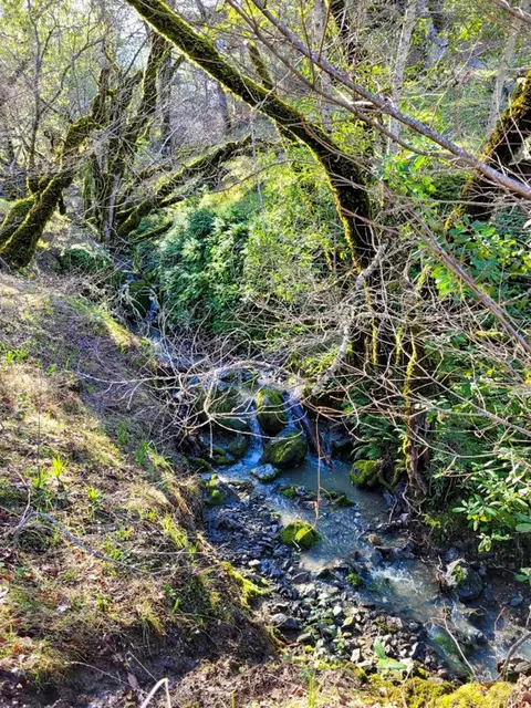 Other - 5510-5500 Parducci Rd, Ukiah, CA 95482 photo 25 of 28
