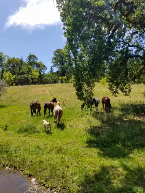 Other - 5510-5500 Parducci Rd, Ukiah, CA 95482 photo 24 of 28