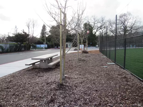 328 Dechene Ave, Sonoma, CA 95476 photo 28
