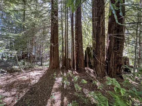 42180 Deer Trl, The Sea Ranch, CA 95497