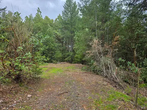 36341 Covelo Rd, Willits, CA 95490 photo 22