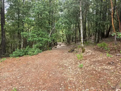 36341 Covelo Rd, Willits, CA 95490 photo 3