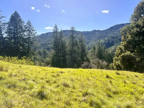 4100 Hansen Ranch Rd, Piercy, CA 95587