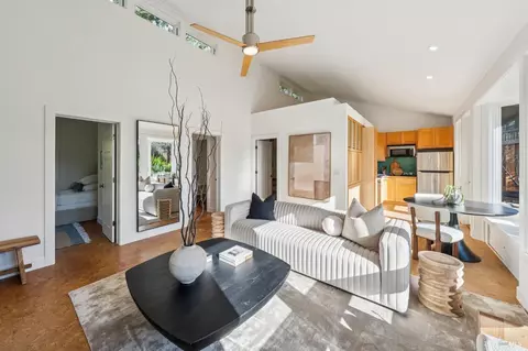 484 Summit Ave, Mill Valley, CA 94941 photo 38