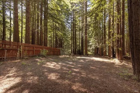 Exterior - 2264 Joy Ridge Rd, Occidental, CA 95465 photo 21 of 26