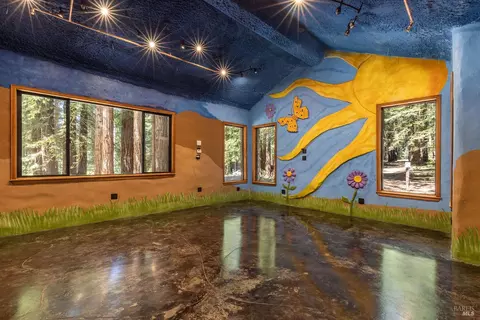 Other - 2264 Joy Ridge Rd, Occidental, CA 95465 photo 8 of 23