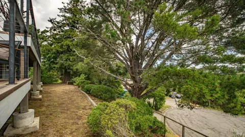 303 Bristol Pl, Mill Valley, CA 94941 photo 25