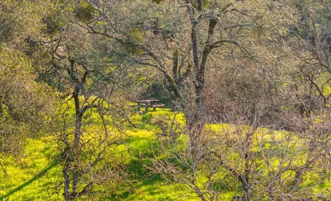 1477 Leslie Rd, Healdsburg, CA 95448 photo 20
