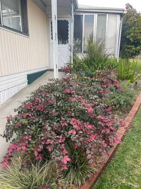 314 Janero Pl, Sonoma, CA 95476