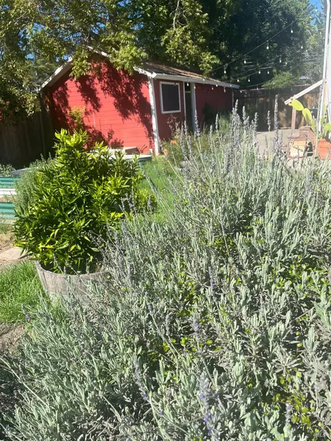 Exterior - 2103 Bodega Ave, Petaluma, CA 94952 photo 25 of 25