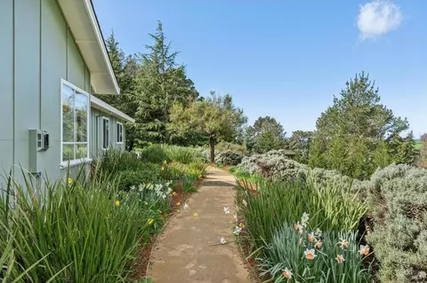 Exterior - 5855 Bodega Ave, Petaluma, CA 94952 photo 26 of 31