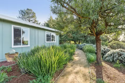 Exterior - 5855 Bodega Ave, Petaluma, CA 94952 photo 22 of 31