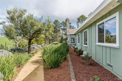 Exterior - 5855 Bodega Ave, Petaluma, CA 94952 photo 25 of 31