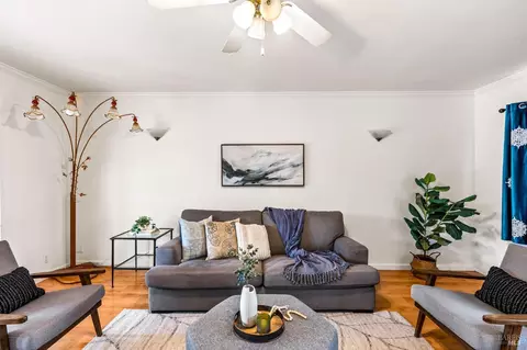 Living - 355 Sky Oaks Dr, Angwin, CA 94508 photo 6 of 8