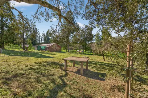 Exterior - 445 Marshall Ave, Petaluma, CA 94952 photo 13 of 14