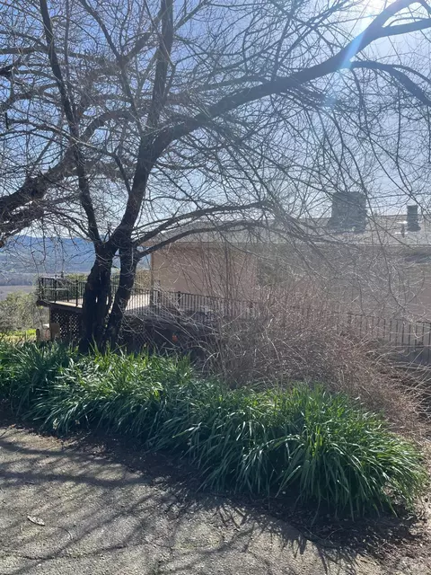 Exterior - 7630 Walnut Ln, Lower Lake, CA 95457 photo 4 of 4