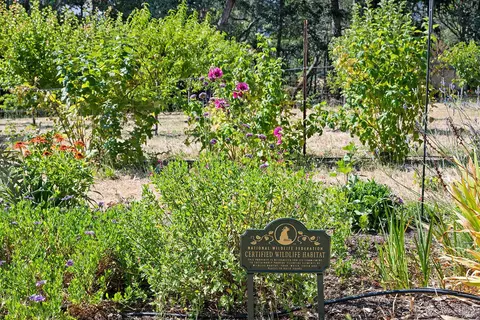 Other - 4395 Pine Flat Rd, Healdsburg, CA 95448 photo 17 of 17