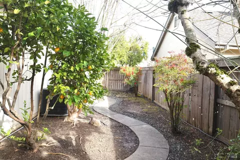 9147 Benny Goodman Way, Windsor, CA 95492 photo 24