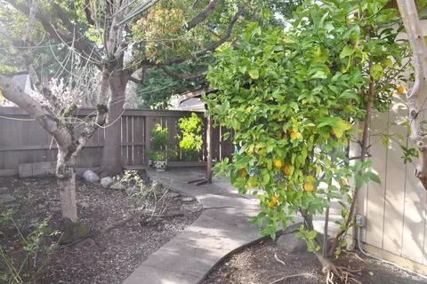9147 Benny Goodman Way, Windsor, CA 95492 photo 25