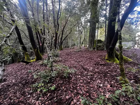 2149 Goose Rd, Willits, CA 95490 photo 7