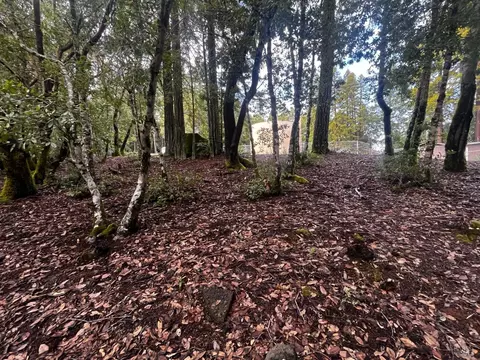 2149 Goose Rd, Willits, CA 95490 photo 4