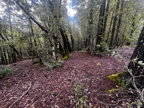 2149 Goose Rd, Willits, CA 95490 photo 5