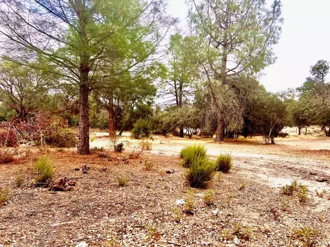 3471 Park St, Clearlake, CA 95422 photo 10
