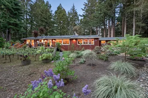 Exterior - 17600 Willow Creek Rd, Occidental, CA 95465 photo 34 of 44