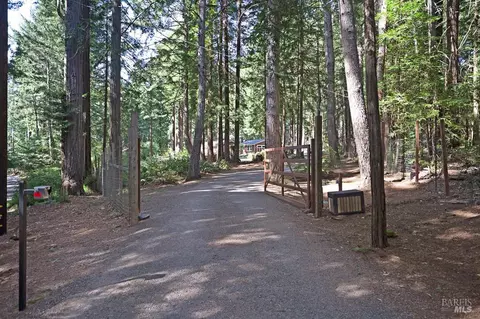Exterior - 17600 Willow Creek Rd, Occidental, CA 95465 photo 4 of 44