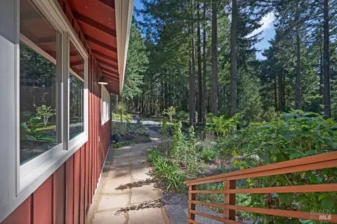 Exterior - 17600 Willow Creek Rd, Occidental, CA 95465 photo 33 of 44