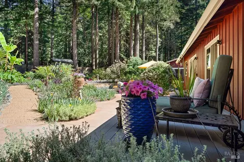 Exterior - 17600 Willow Creek Rd, Occidental, CA 95465 photo 32 of 44