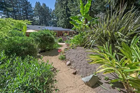 Exterior - 17600 Willow Creek Rd, Occidental, CA 95465 photo 30 of 44