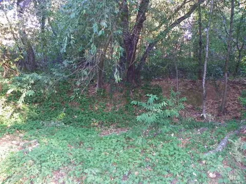 9465 Westside Rd, Forestville, CA 95436 photo 4