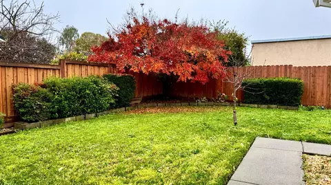 Exterior - 3739 Parrett Ave, Napa, CA 94558 photo 5 of 8