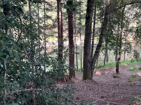 View/Area - 4000 Ridgewood Rd, Willits, CA 95490 photo 1 of 1