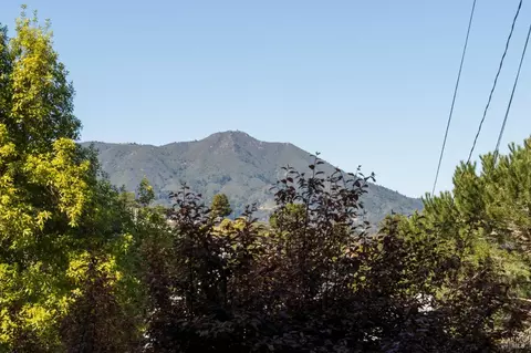 Other - 476 Wellesley Ave, Mill Valley, CA 94941 photo 1 of 2
