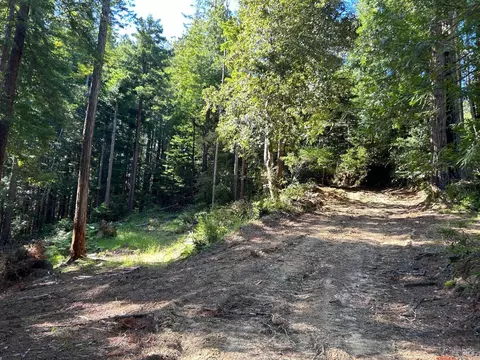 39700 Eureka Hill Rd, Point Arena, CA 95468 photo 2
