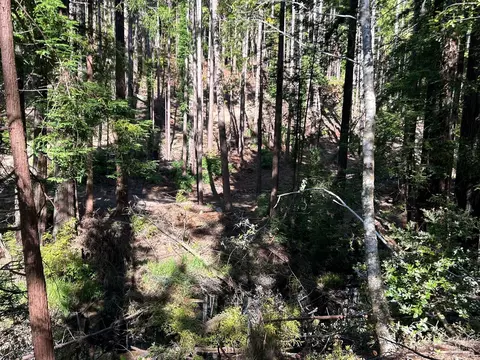 39700 Eureka Hill Rd, Point Arena, CA 95468 photo 9