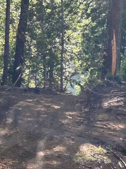 39700 Eureka Hill Rd, Point Arena, CA 95468 photo 11