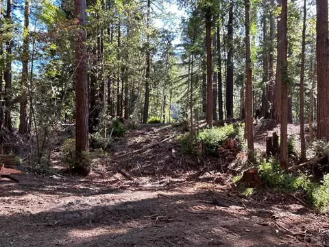 39700 Eureka Hill Rd, Point Arena, CA 95468 photo 10
