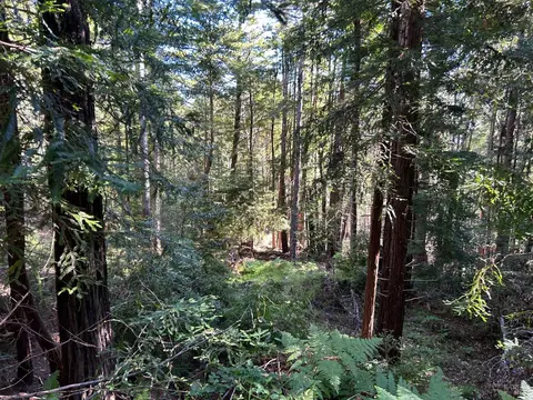 39700 Eureka Hill Rd, Point Arena, CA 95468 photo 5