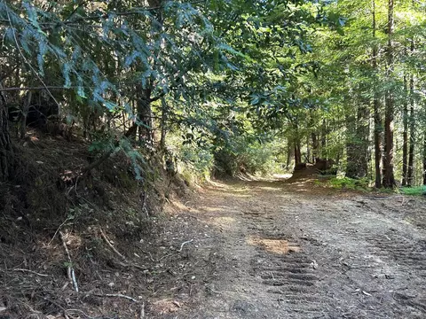 39700 Eureka Hill Rd, Point Arena, CA 95468 photo 4